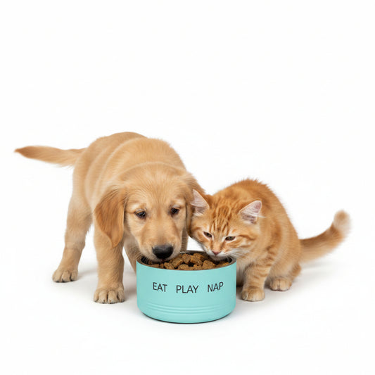 EAT, PLAY, NAP Pet Bowl — Stainless Steel Dog & Cat Bowl